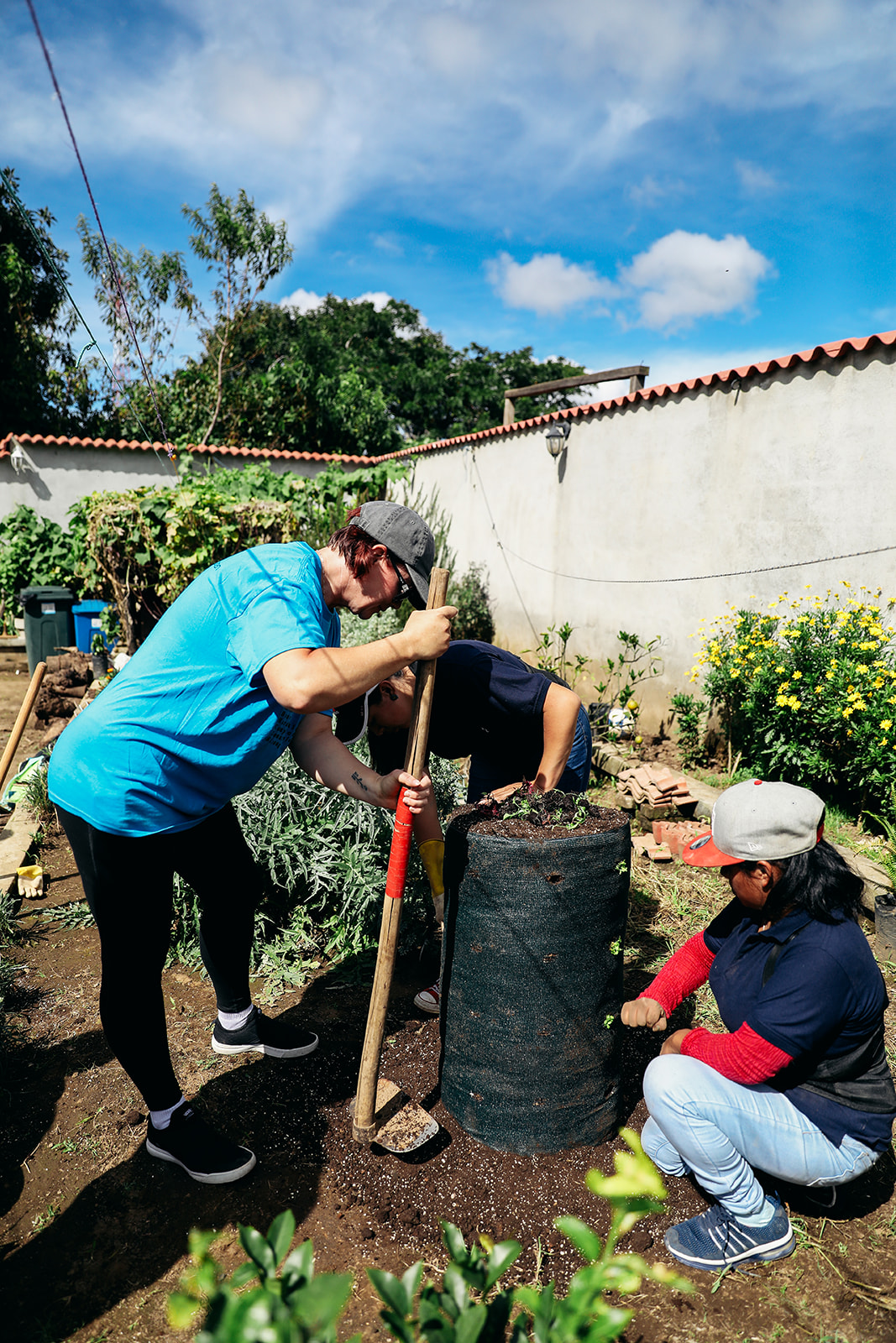 How Garden Towers Are Changing Lives