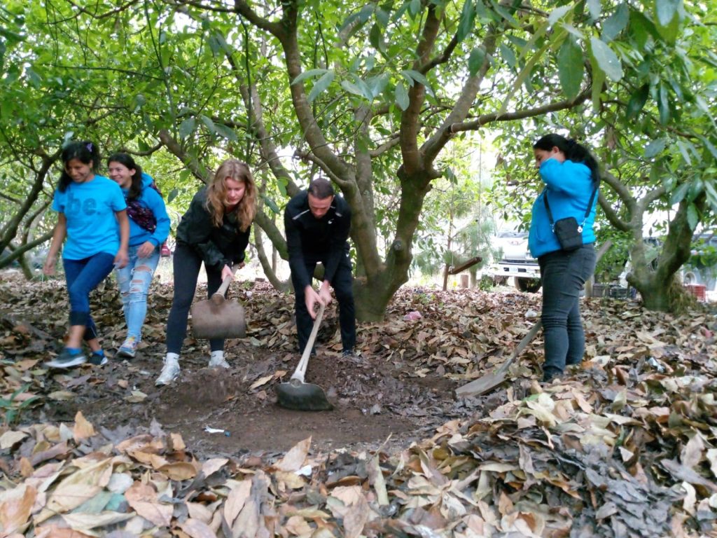 Volunteers prepping the area for a garden. Digging soil under trees during a volunteer vacation in Guatemala with local community members. 